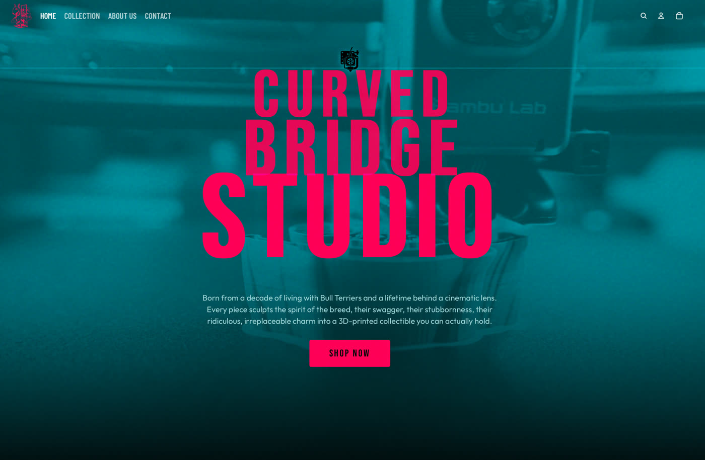 Curved Bridge Studio